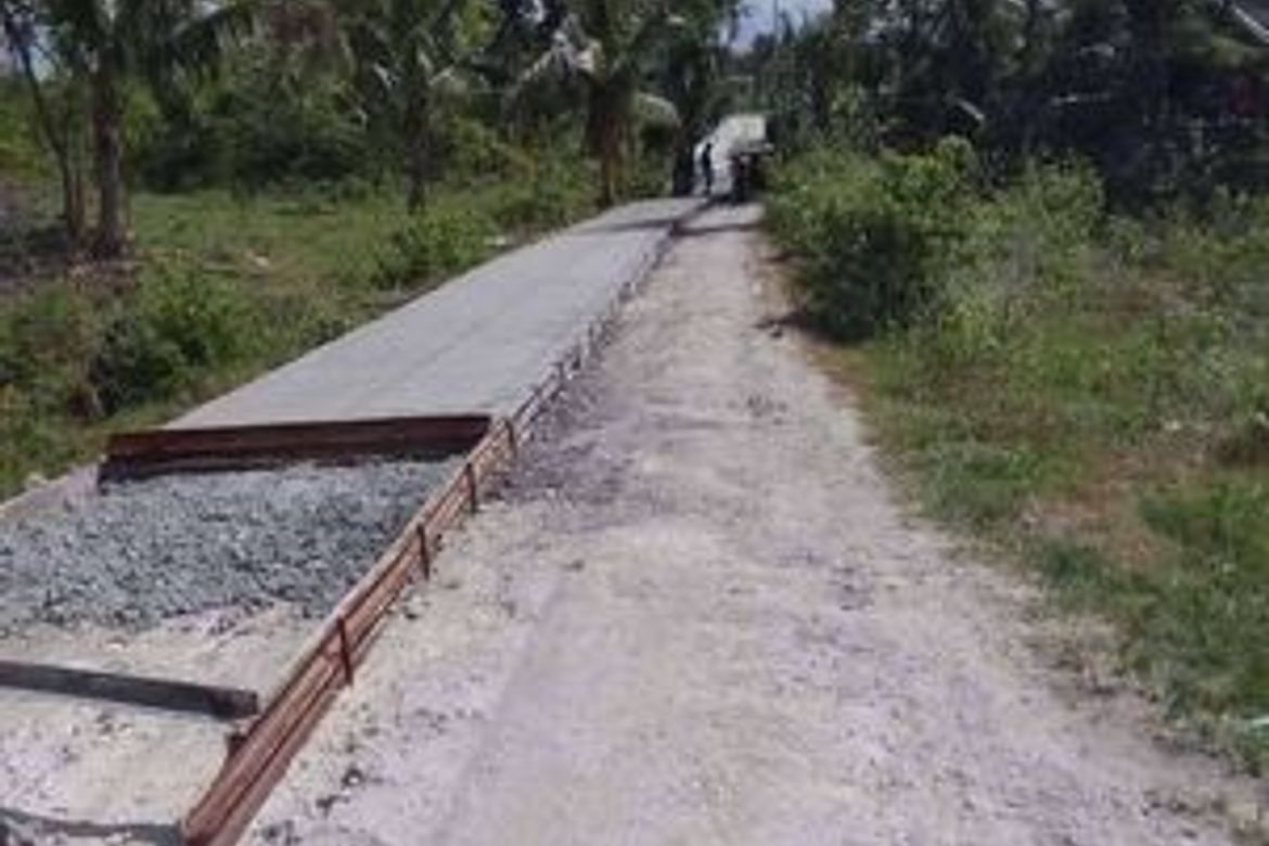 Land for Sale in Basdiot, Moalboal, Cebu – photo 3