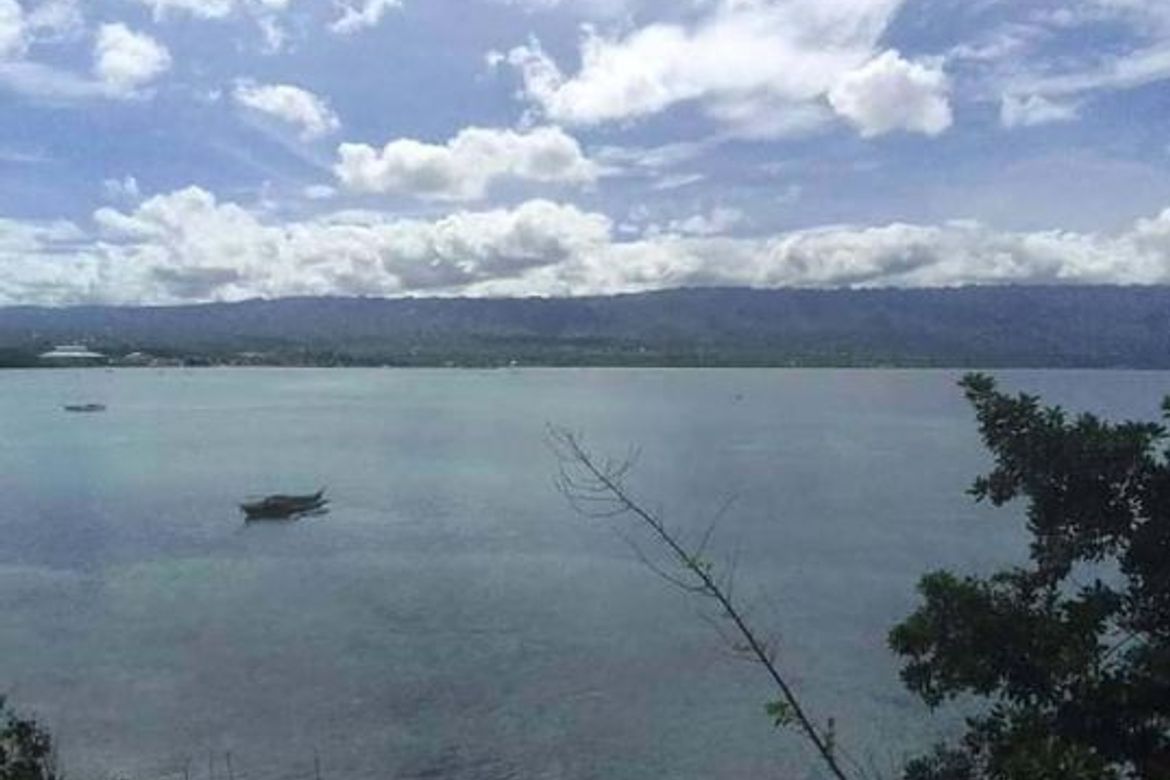 Land for Sale in Basdiot, Moalboal, Cebu – photo 4