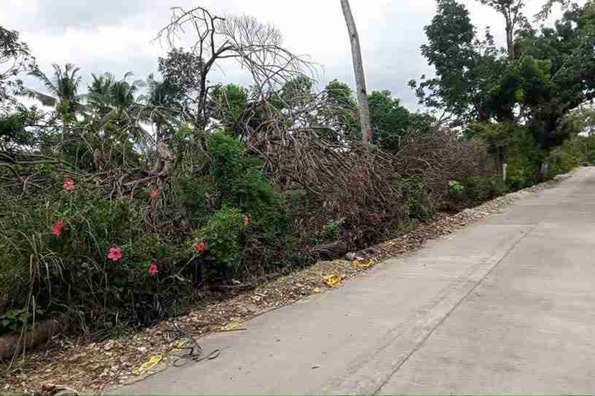 Land for Sale in Basdiot, Moalboal, Cebu – photo 2