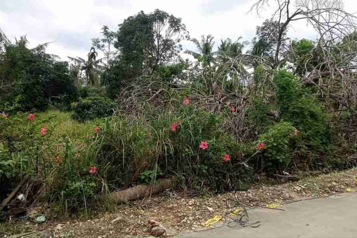 Land for Sale in Basdiot, Moalboal, Cebu – photo 3