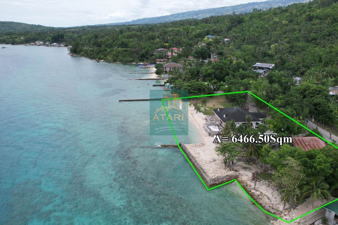Land for Sale in Basiao, Badian, Cebu – photo 2