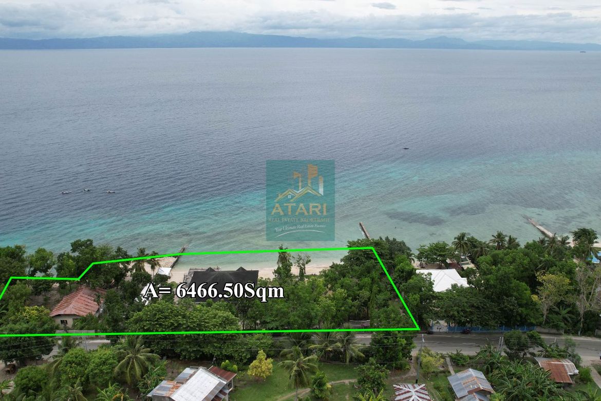 Land for Sale in Basiao, Badian, Cebu – photo 3