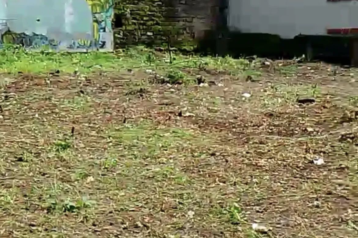 Land for Sale in Batasan Hills, Quezon City, Metro Manila – photo 3
