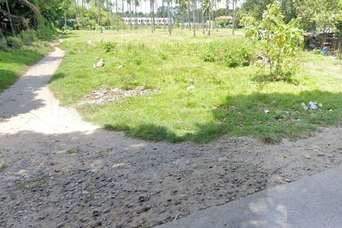 Land for Sale in Batinguel, Dumaguete, Negros Oriental – photo 3