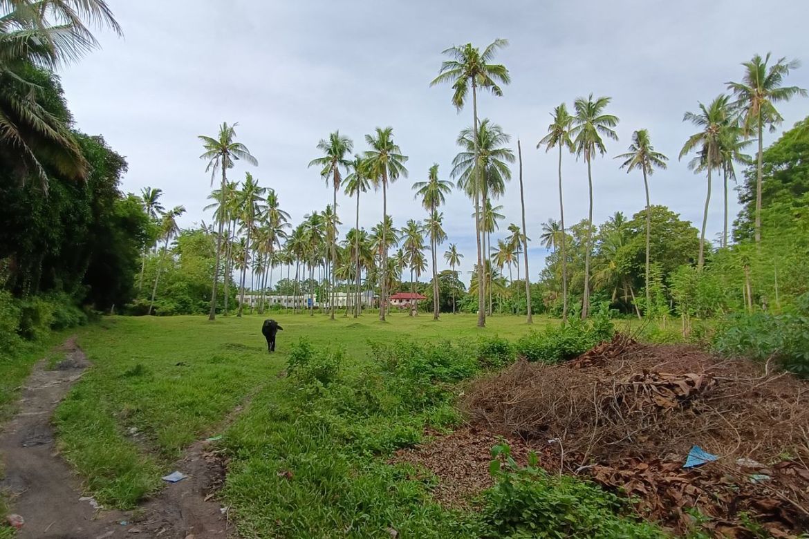 Land for Sale in Batinguel, Dumaguete, Negros Oriental – photo 4