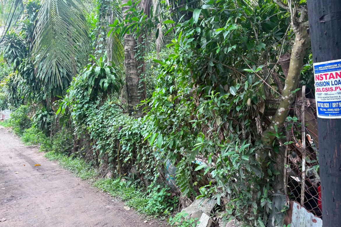 Land for Sale in Batinguel, Dumaguete, Negros Oriental