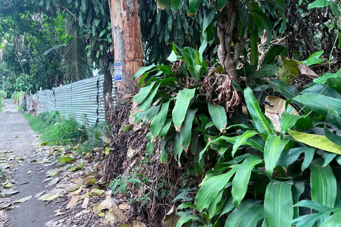 Land for Sale in Batinguel, Dumaguete, Negros Oriental – photo 4