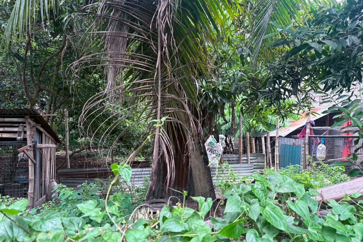 Land for Sale in Batinguel, Dumaguete, Negros Oriental – photo 5