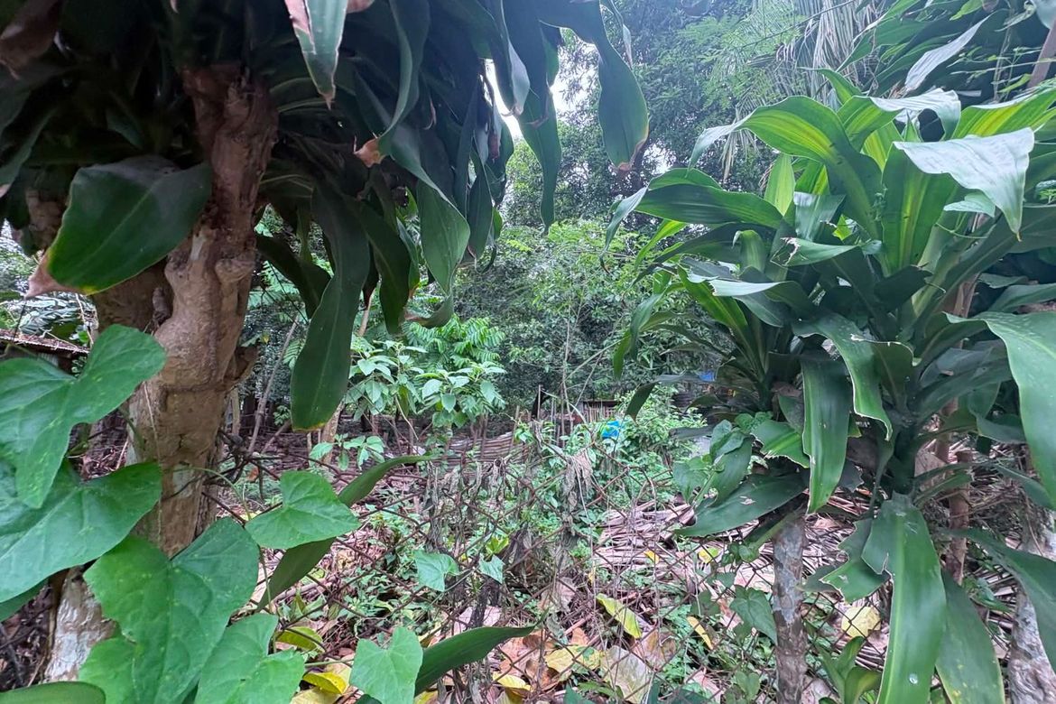 Land for Sale in Batinguel, Dumaguete, Negros Oriental – photo 6
