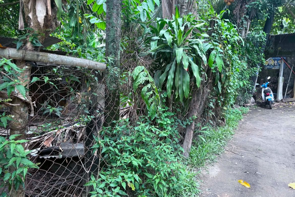 Land for Sale in Batinguel, Dumaguete, Negros Oriental – photo 7