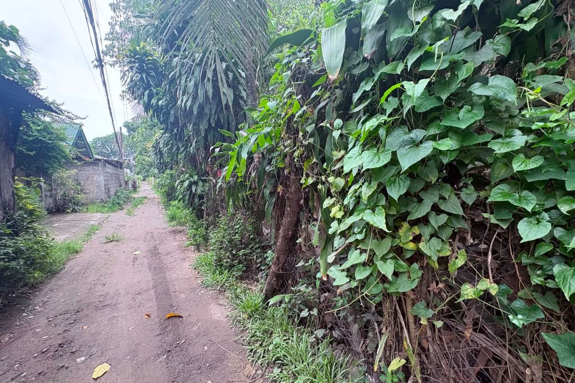 Land for Sale in Batinguel, Dumaguete, Negros Oriental – photo 8
