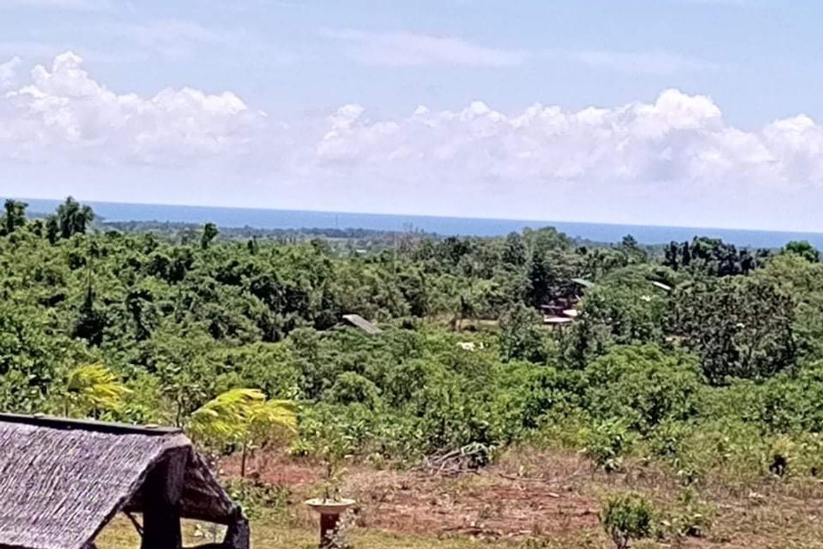 Land for Sale in Bato-Bato, Narra, Palawan