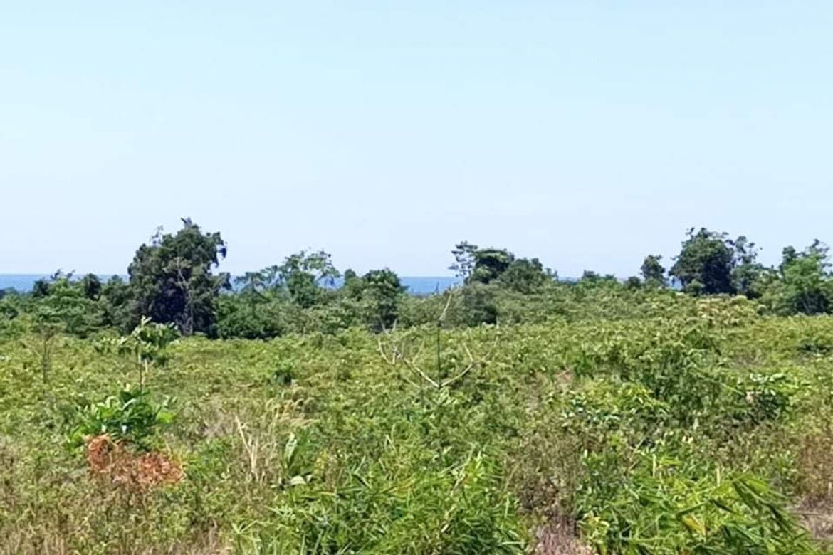 Land for Sale in Bato-Bato, Narra, Palawan – photo 4