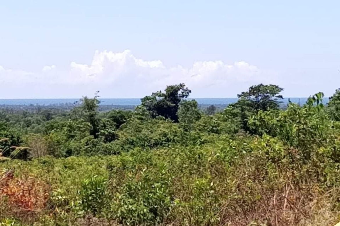 Land for Sale in Bato-Bato, Narra, Palawan – photo 5