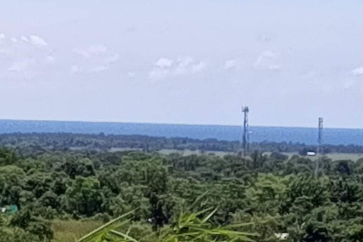 Land for Sale in Bato-Bato, Narra, Palawan – photo 6