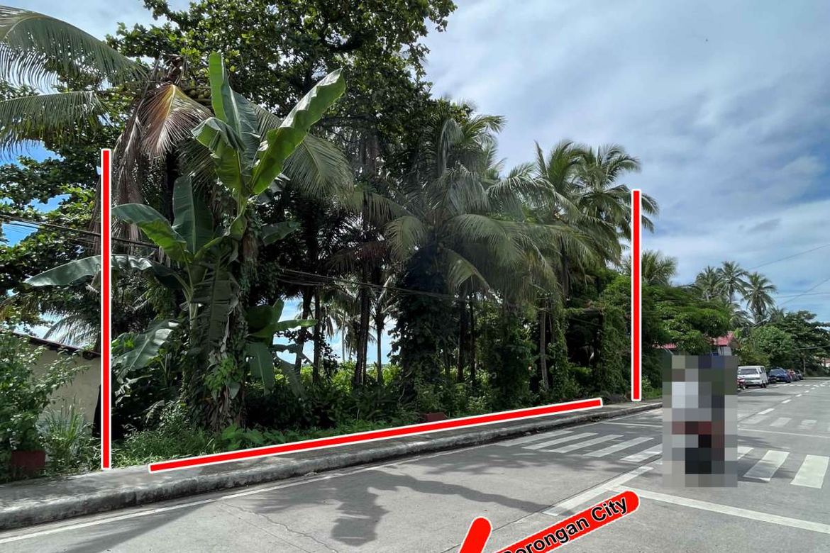 Land for Sale in Bato, Borongan, Eastern Samar