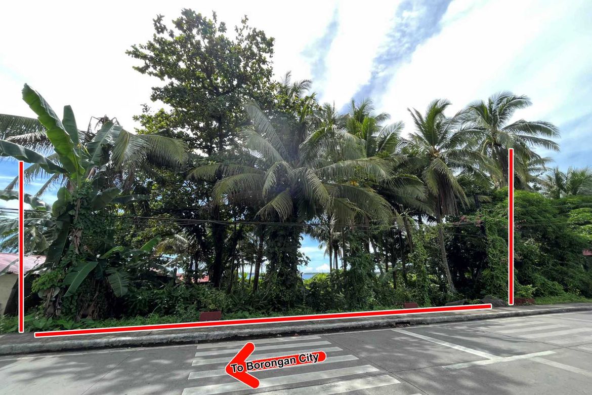 Land for Sale in Bato, Borongan, Eastern Samar – photo 3