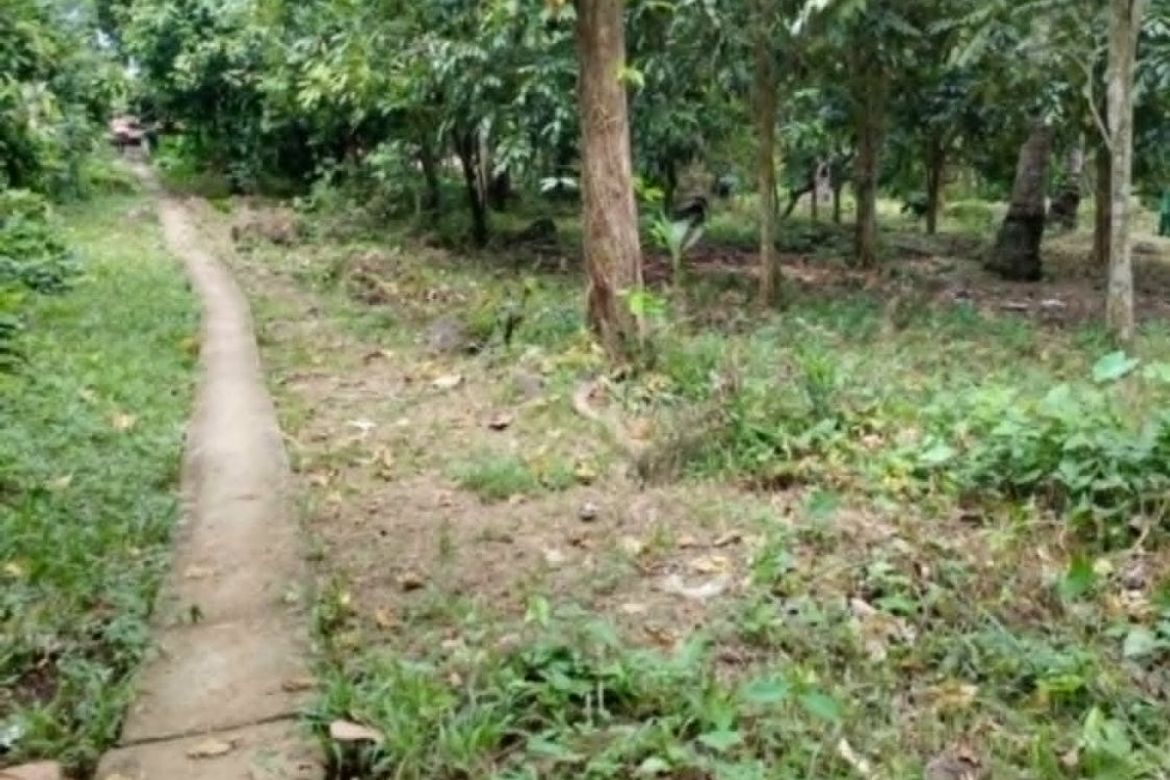 Land for Sale in Bato, Davao City, Davao del Sur – photo 4