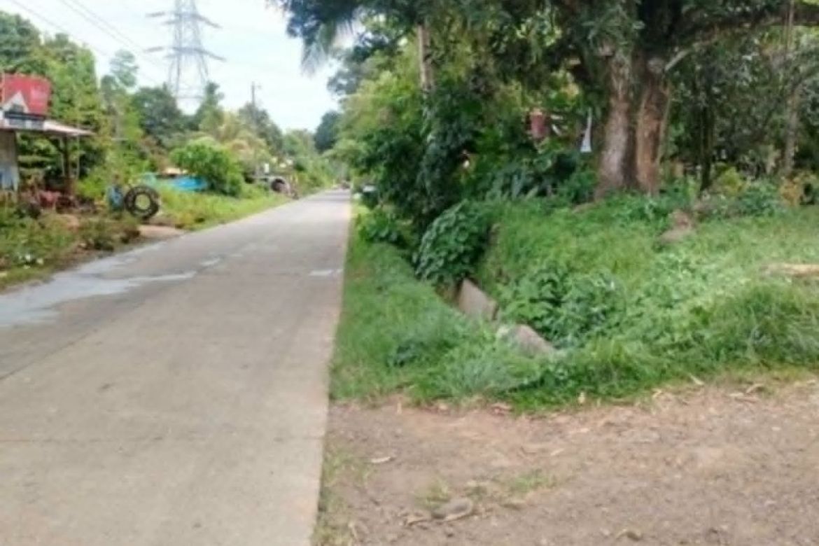 Land for Sale in Bato, Davao City, Davao del Sur – photo 6