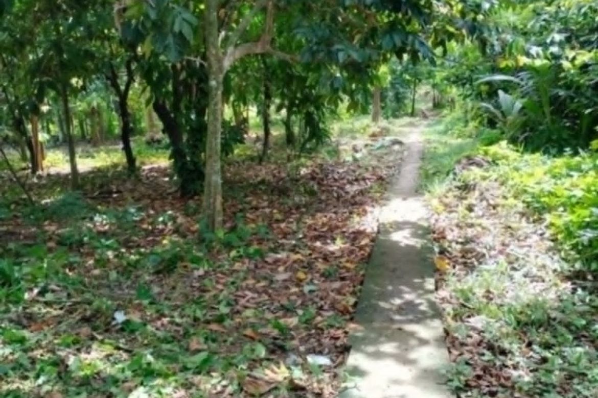 Land for Sale in Bato, Davao City, Davao del Sur – photo 7