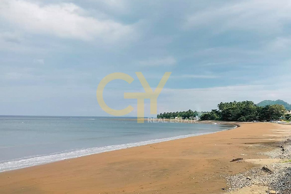 Land for Sale in Bato, Mauban, Quezon – photo 2