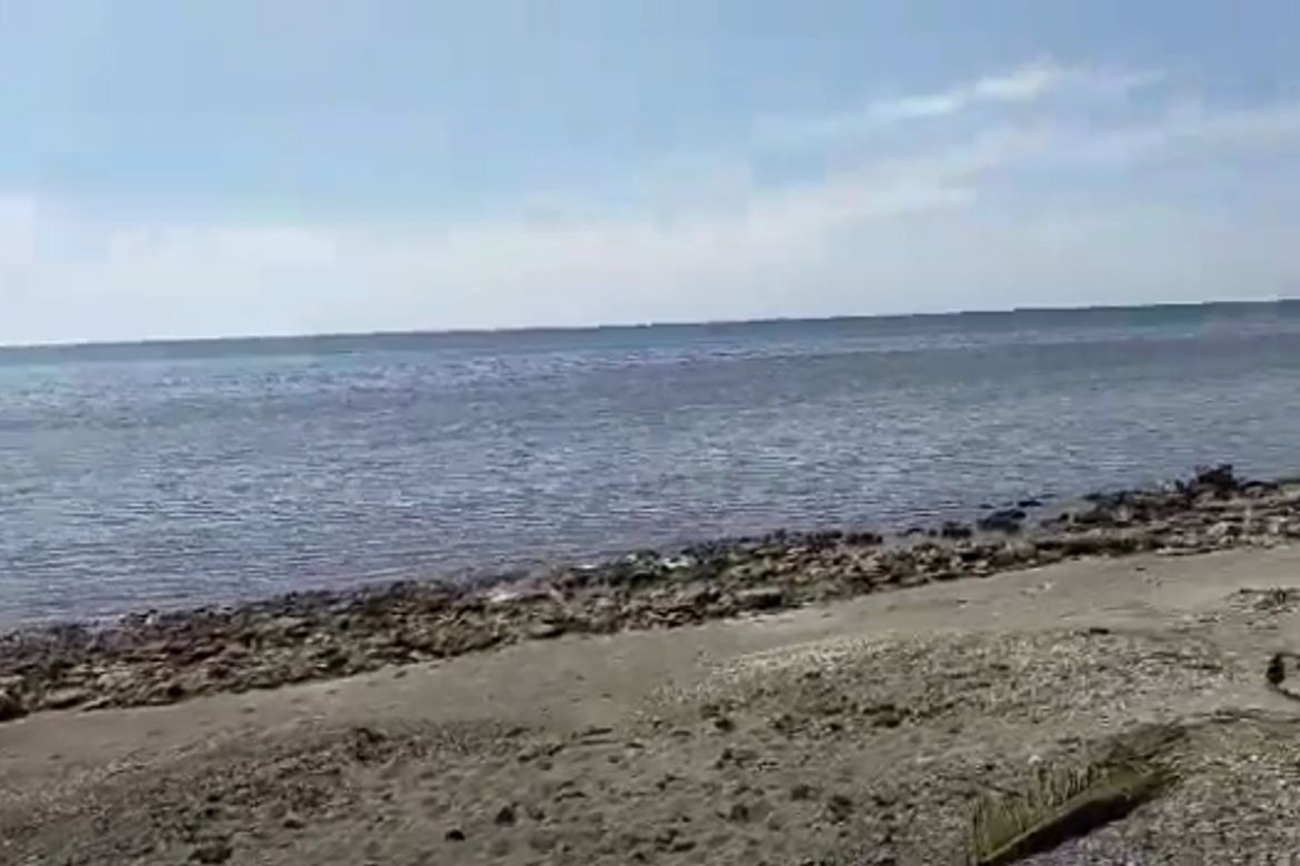 Land for Sale in Batong Buhay, Sablayan, Occidental Mindoro – photo 3