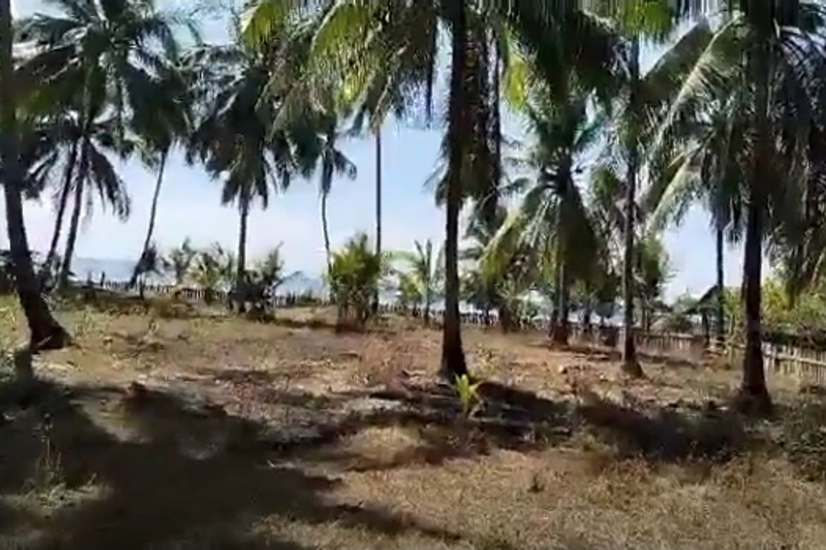 Land for Sale in Batong Buhay, Sablayan, Occidental Mindoro – photo 5