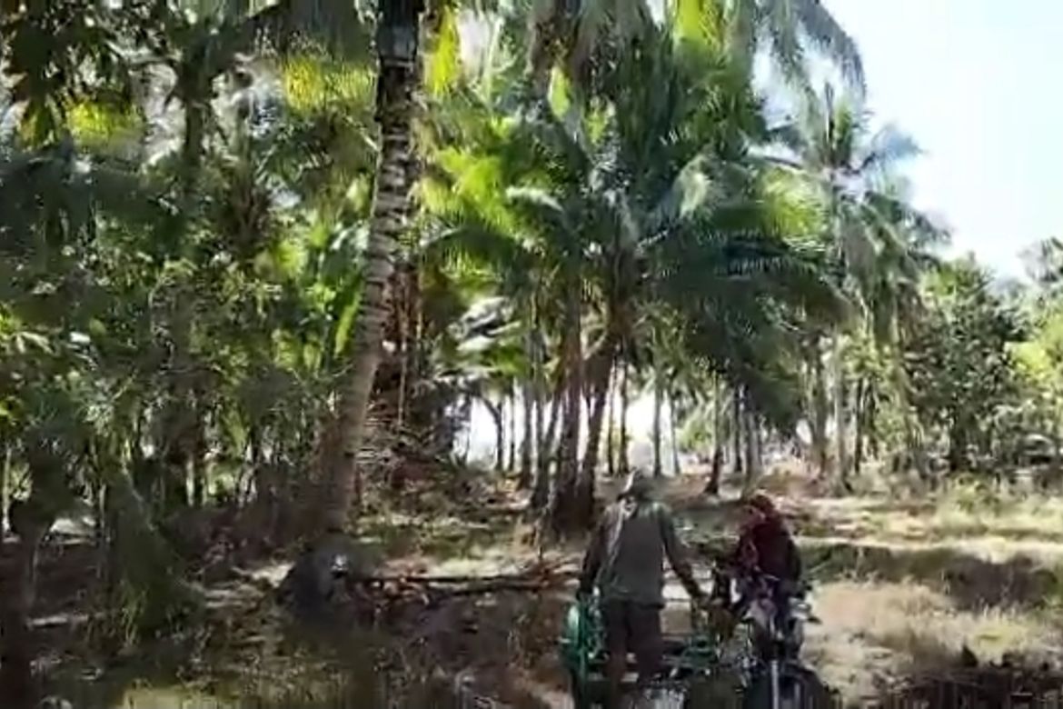 Land for Sale in Batong Buhay, Sablayan, Occidental Mindoro – photo 8