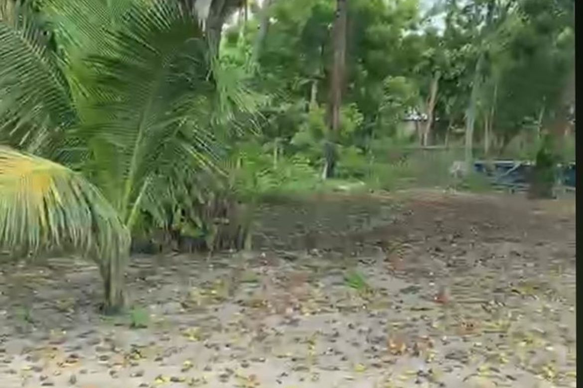 Land for Sale in Bayabas, Cagayan de Oro, Misamis Oriental – photo 5