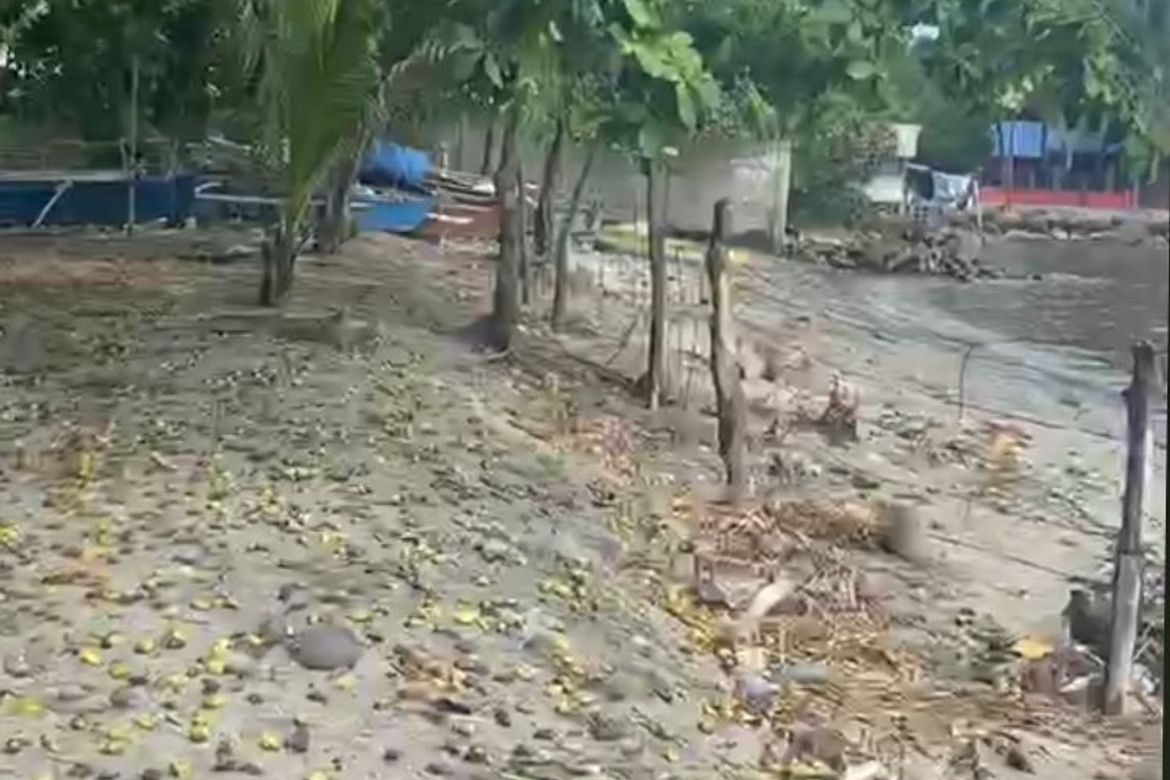 Land for Sale in Bayabas, Cagayan de Oro, Misamis Oriental – photo 6