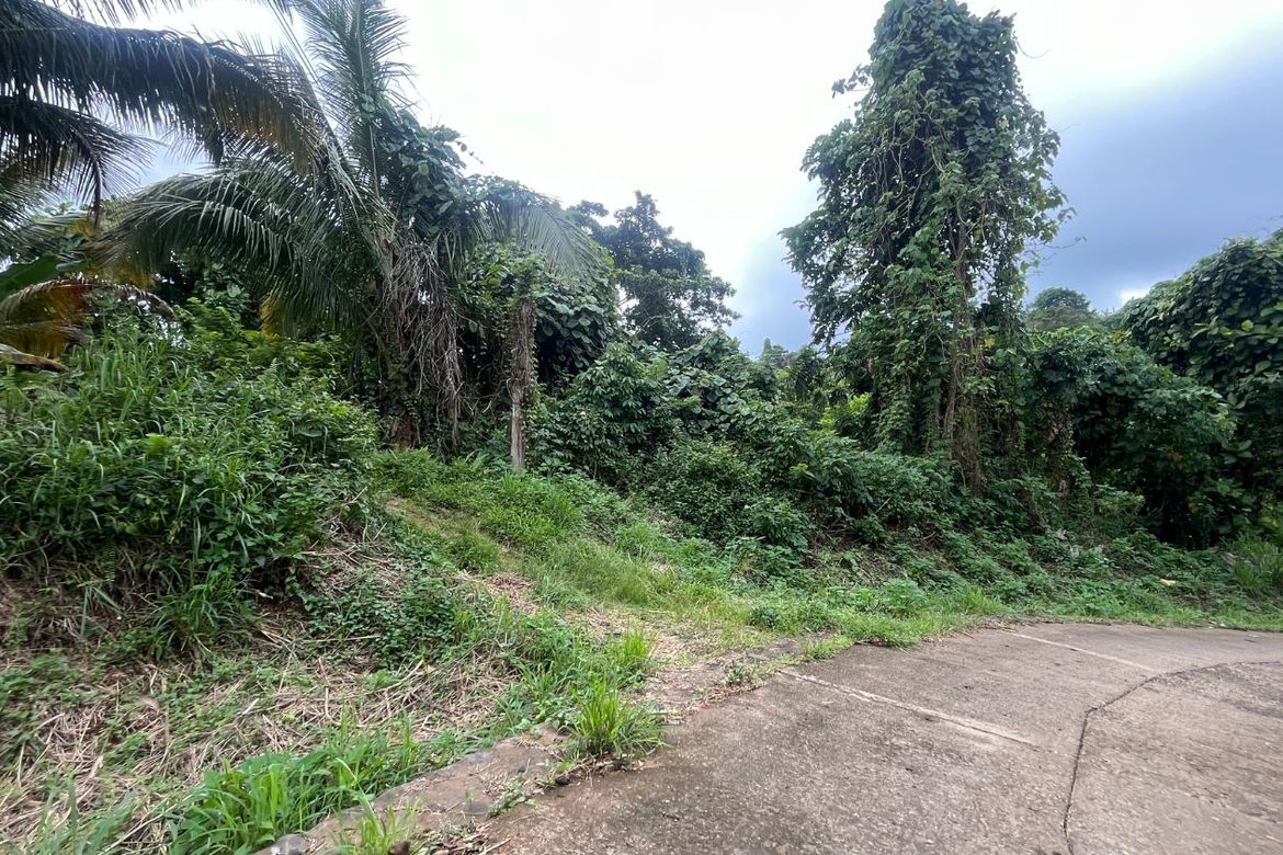 Land for Sale in Bayabas, Davao City, Davao del Sur – photo 4