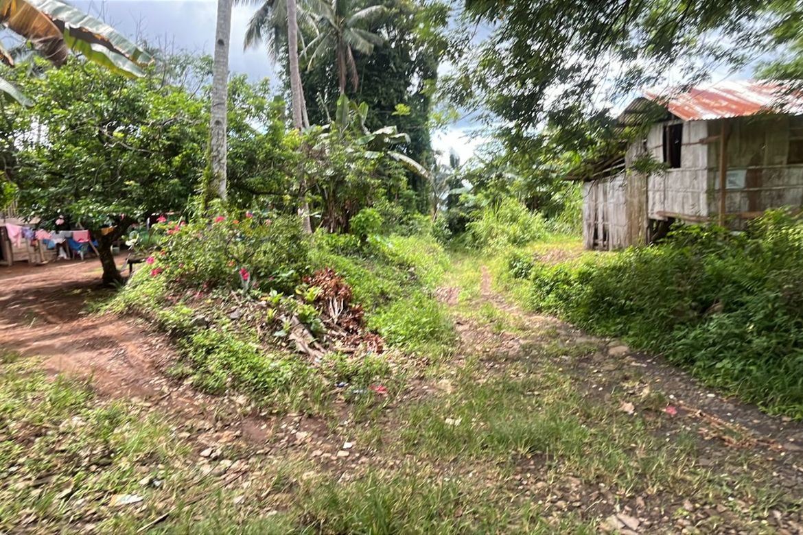 Land for Sale in Bayabas, Davao City, Davao del Sur – photo 8
