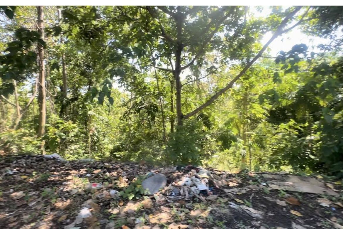 Land for Sale in Bayabas, Davao City, Davao del Sur – photo 8