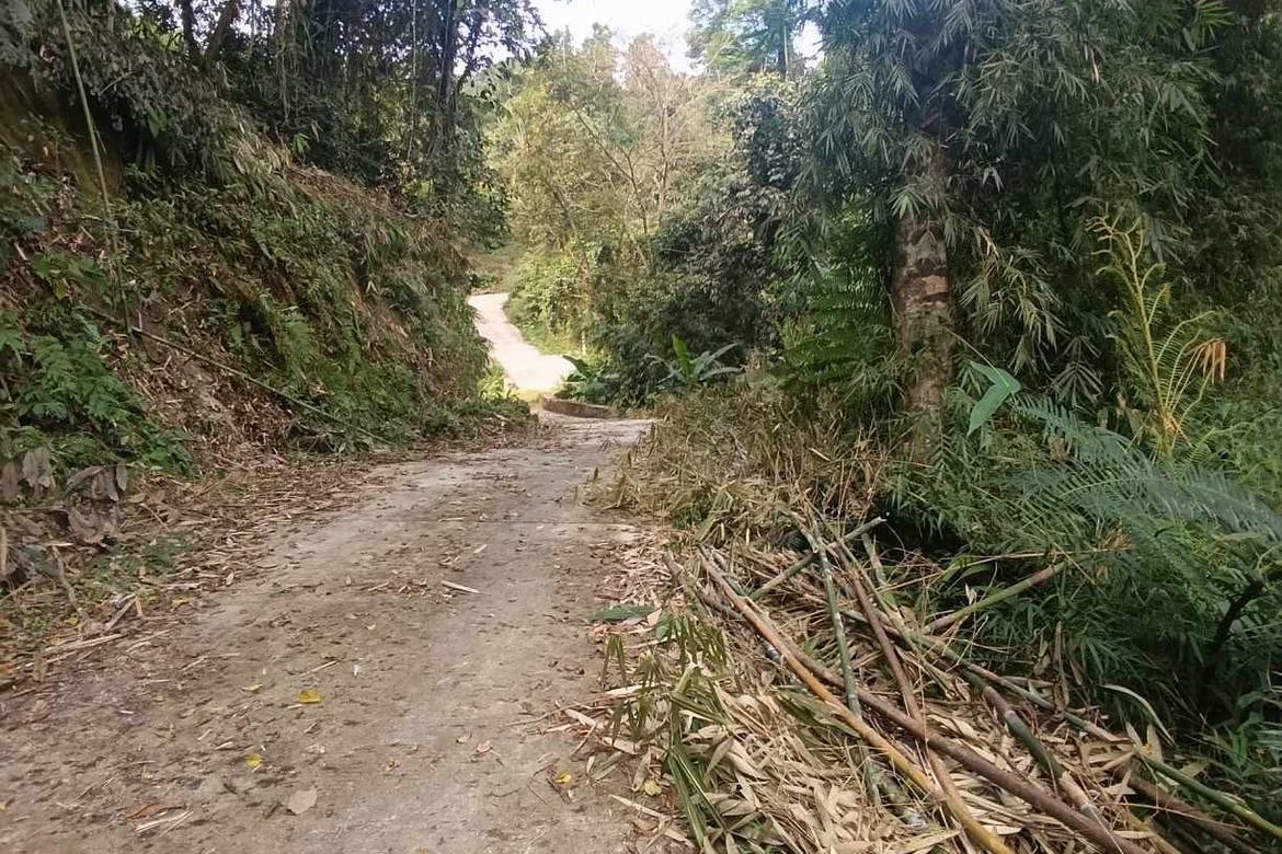 Land for Sale in Bayabas, Sablan, Benguet