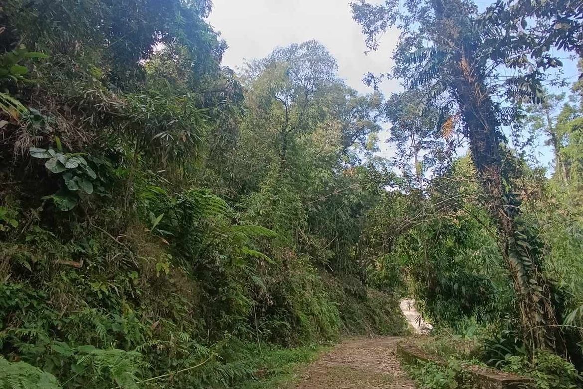 Land for Sale in Bayabas, Sablan, Benguet – photo 2