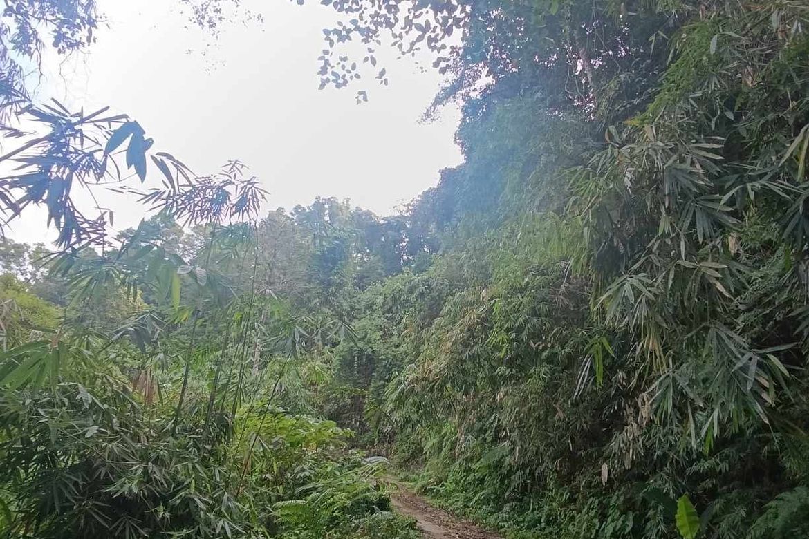 Land for Sale in Bayabas, Sablan, Benguet – photo 8