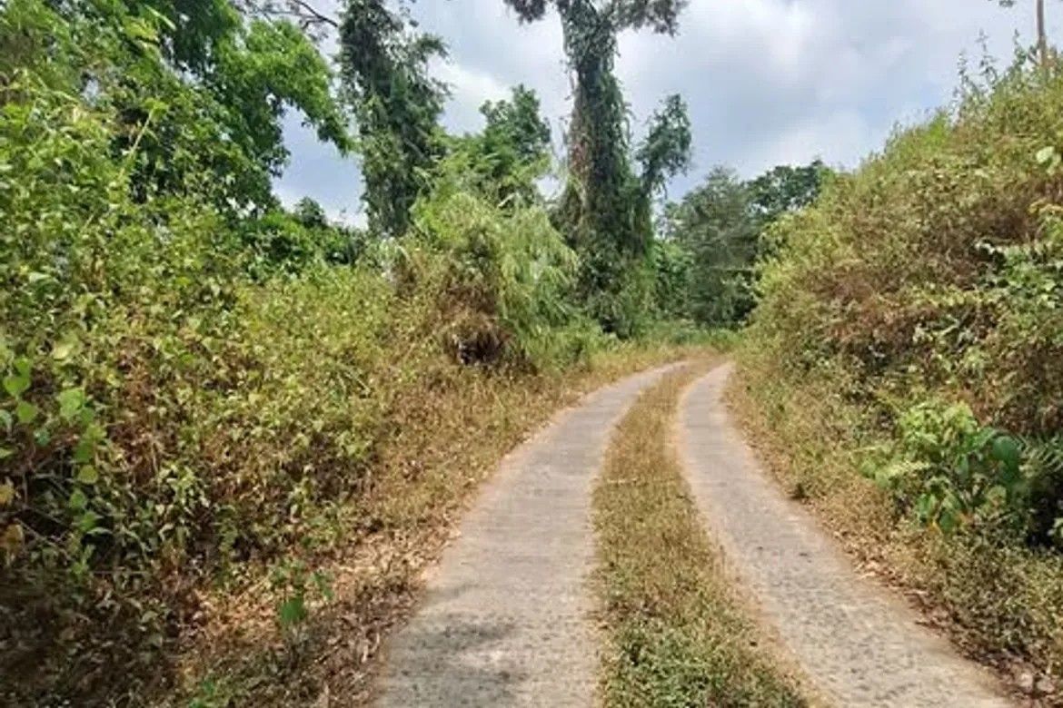 Land for Sale in Bayabas, Sablan, Benguet – photo 7
