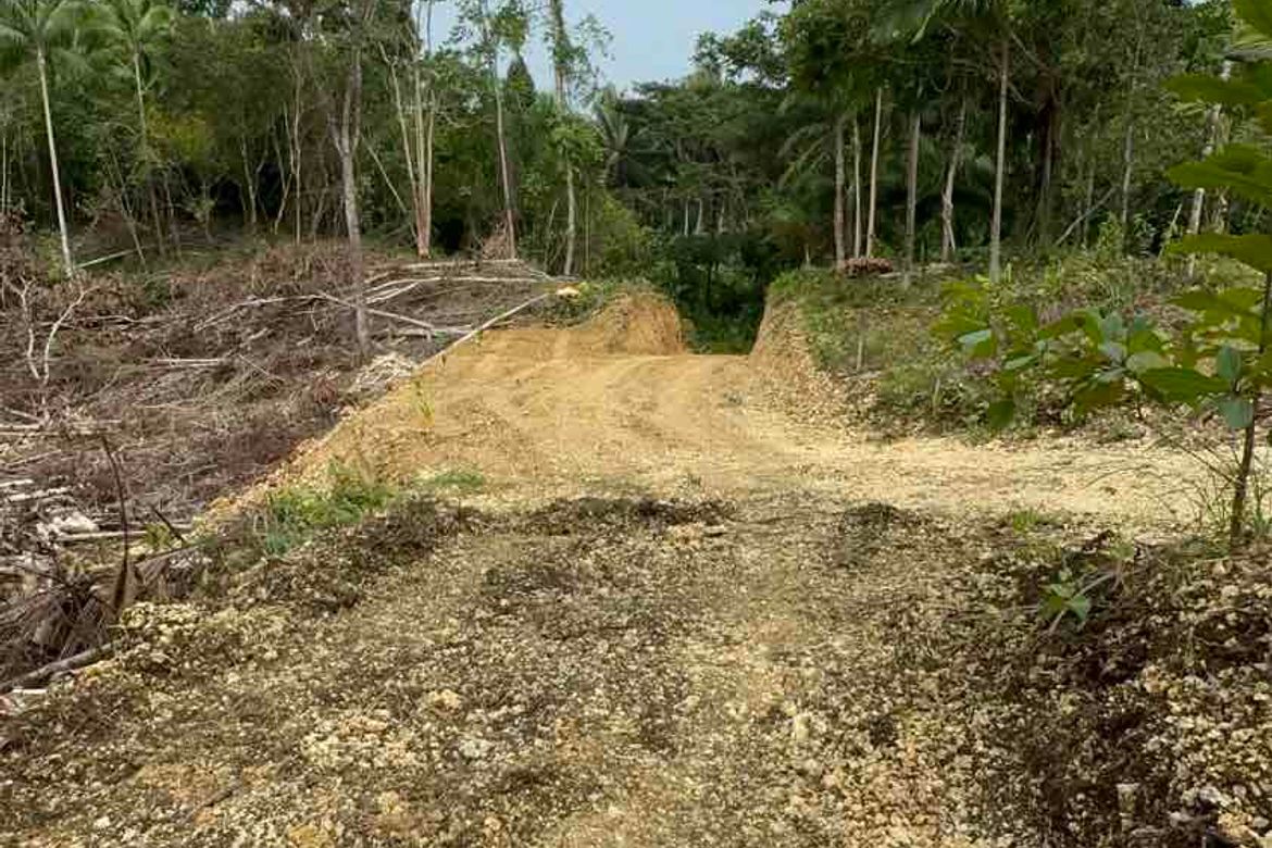 Land for Sale in Bayacabac, Maribojoc, Bohol – photo 4