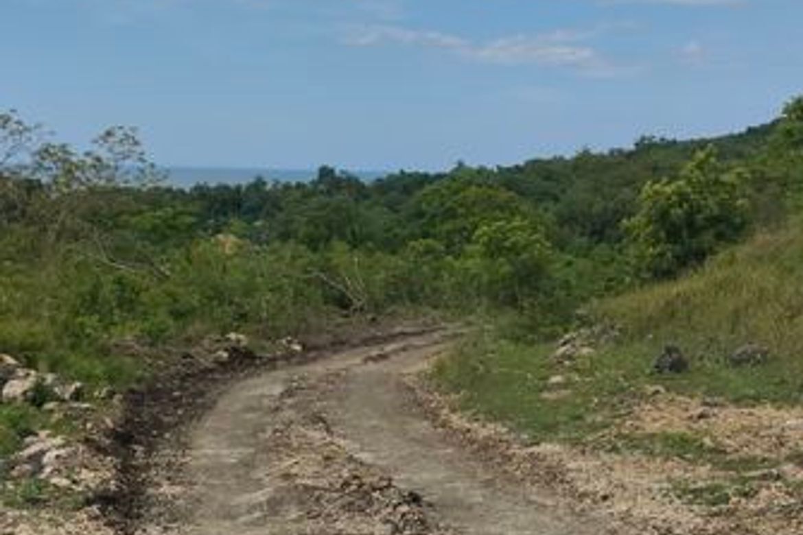 Land for Sale in Bayacabac, Maribojoc, Bohol – photo 3