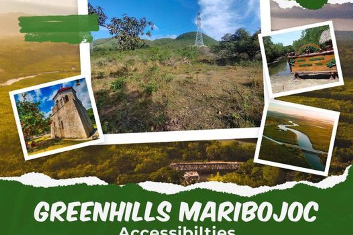 Land for Sale in Bayacabac, Maribojoc, Bohol – photo 4