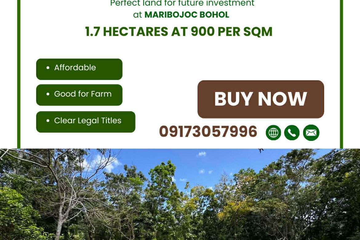 Land for Sale in Bayacabac, Maribojoc, Bohol