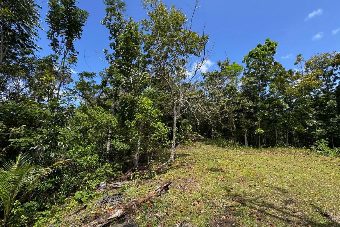 Land for Sale in Bayacabac, Maribojoc, Bohol – photo 2