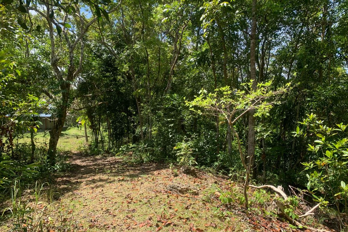 Land for Sale in Bayacabac, Maribojoc, Bohol – photo 8