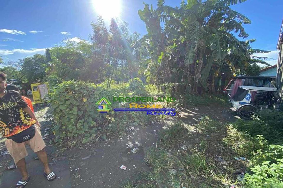 Land for Sale in Bayanan, Bacoor, Cavite