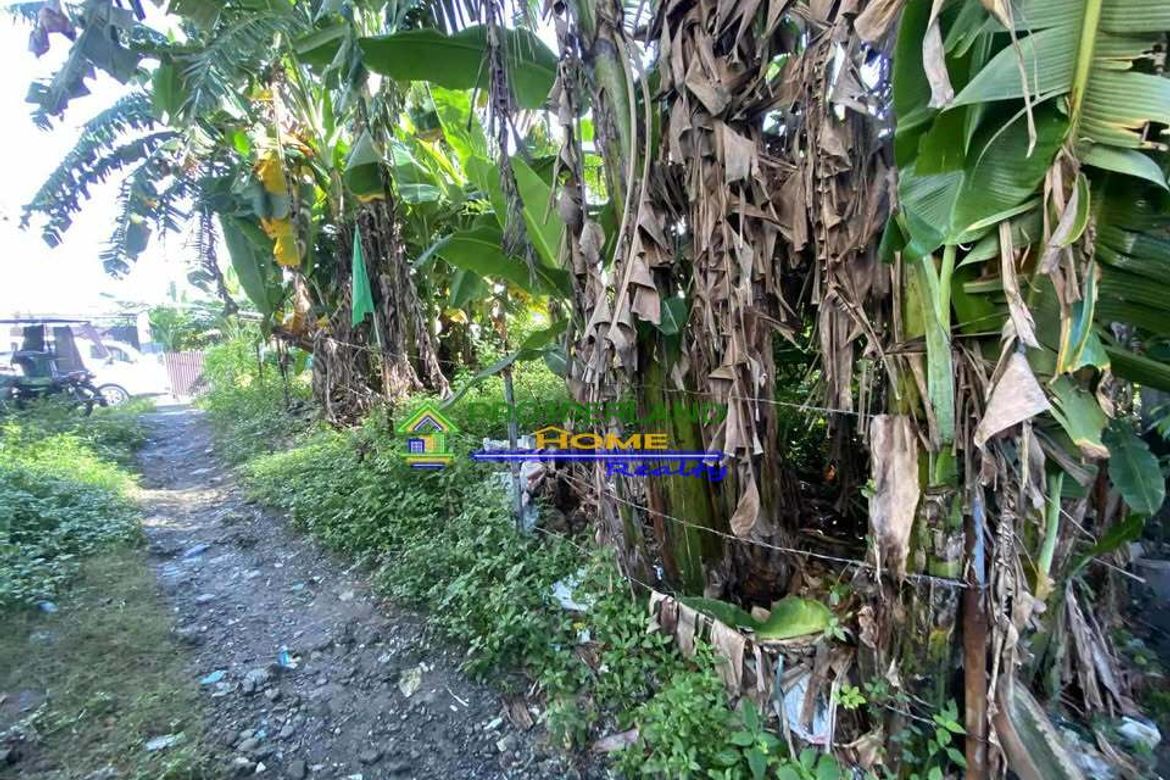Land for Sale in Bayanan, Bacoor, Cavite – photo 2