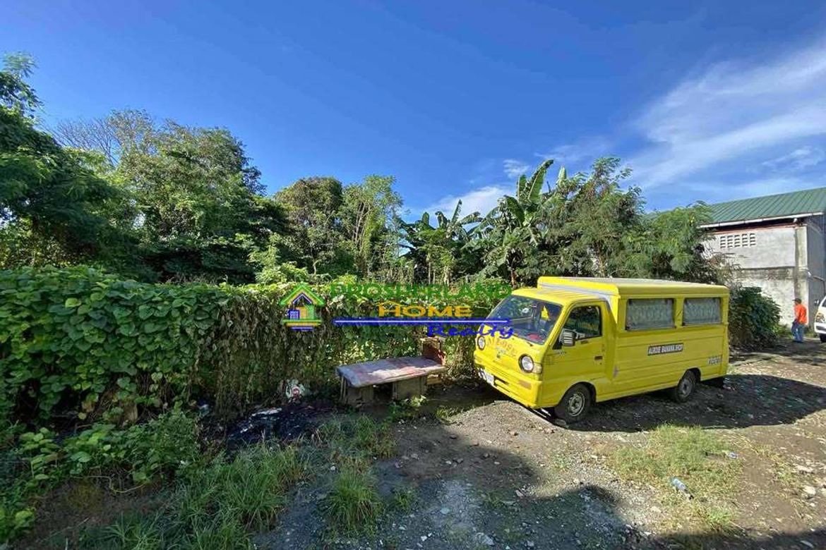 Land for Sale in Bayanan, Bacoor, Cavite – photo 3
