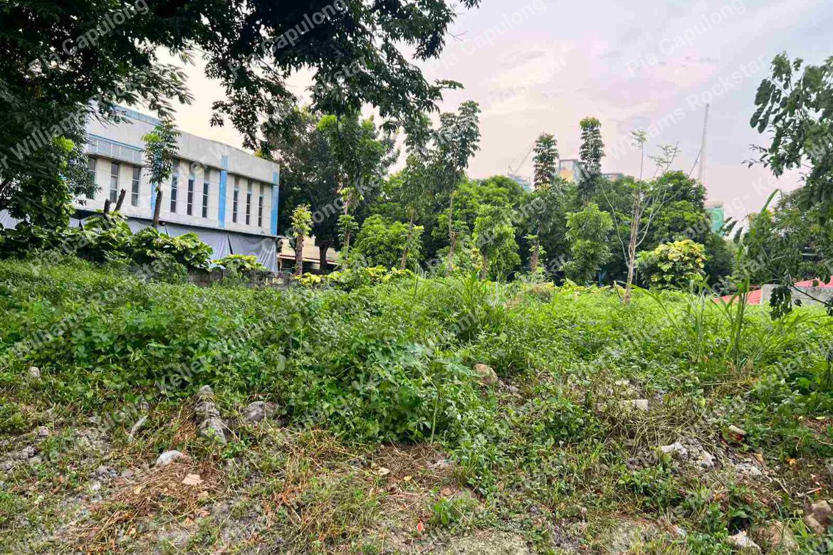 Land for Sale in Bayanan, Muntinlupa, Metro Manila – photo 3