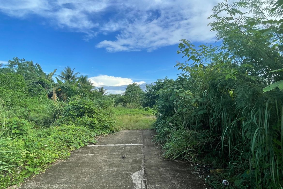 Land for Sale in Bayanihan Poblacion, Butuan, Agusan del Norte – photo 3