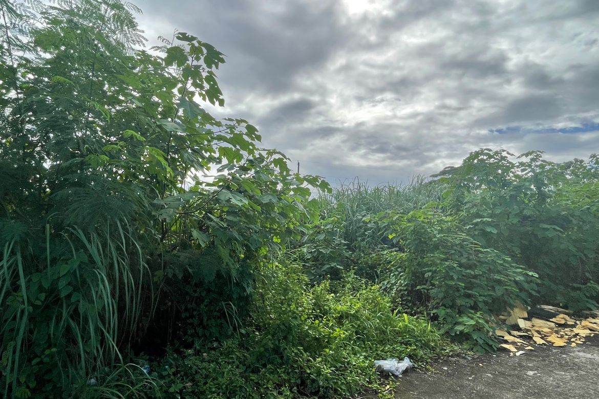 Land for Sale in Bayanihan Poblacion, Butuan, Agusan del Norte – photo 4