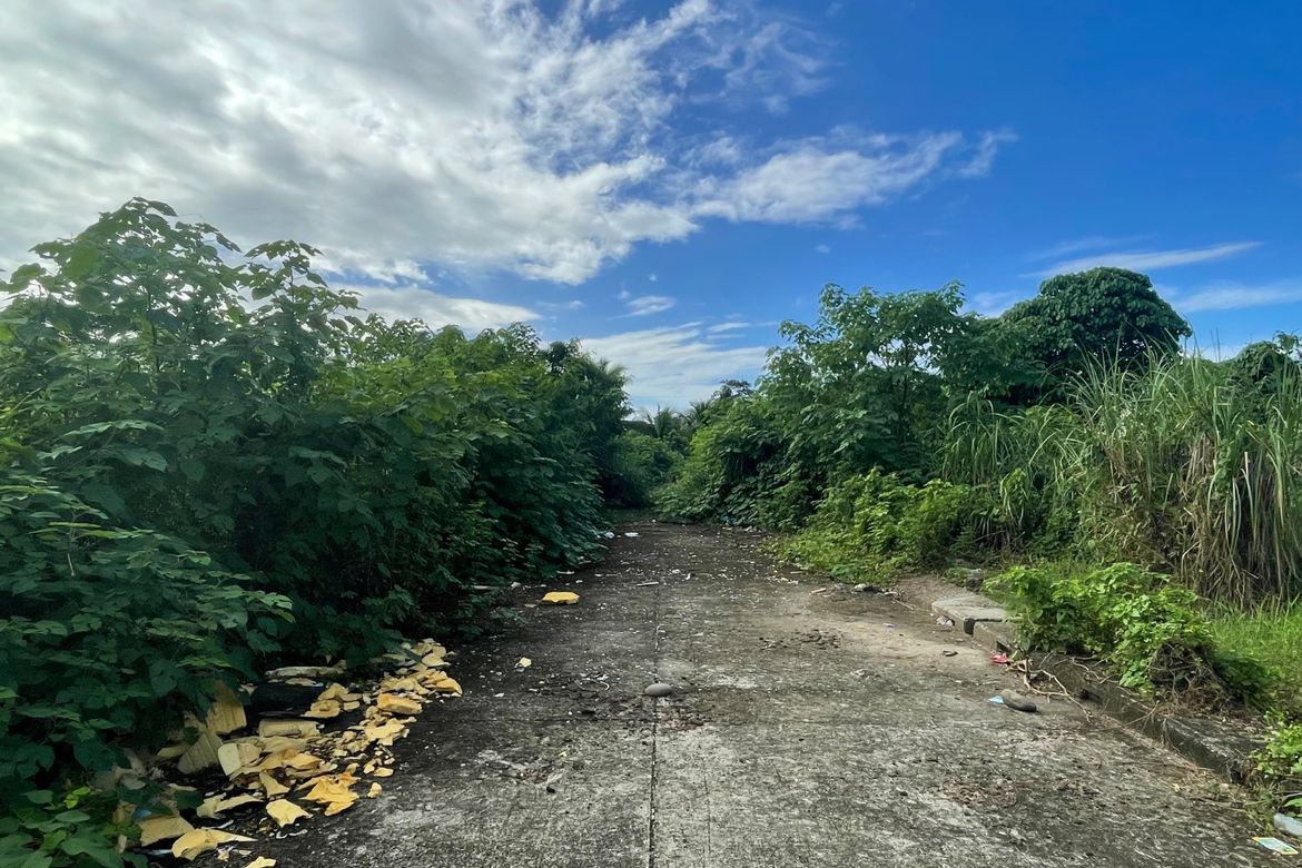 Land for Sale in Bayanihan Poblacion, Butuan, Agusan del Norte – photo 5